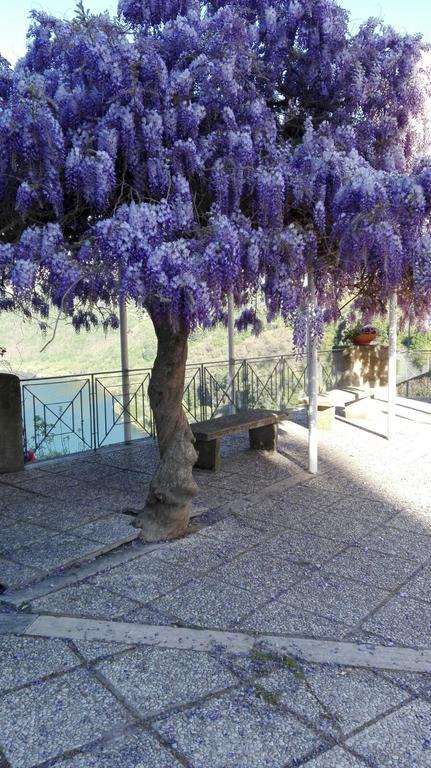 Bed and Breakfast La Casa Di Milady Дженцано-ди-Рома Экстерьер фото